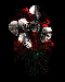 růže a lebky